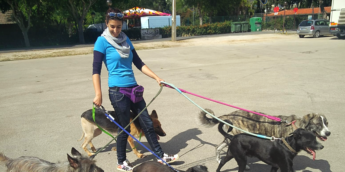 Andreia a passear cães